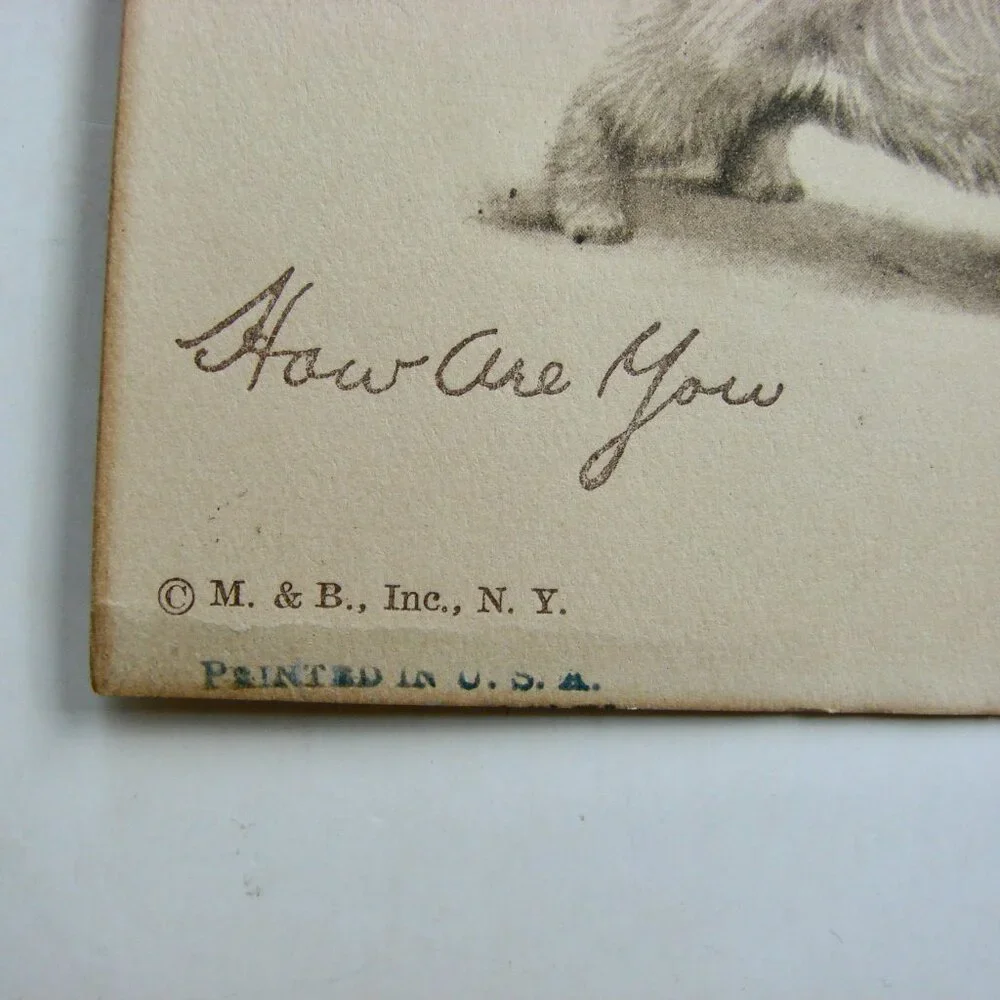 Vintage Antique Dog Art Etching Prints Terriers Chow Samoyed New York 5" x 4" - Picture 10 of 11